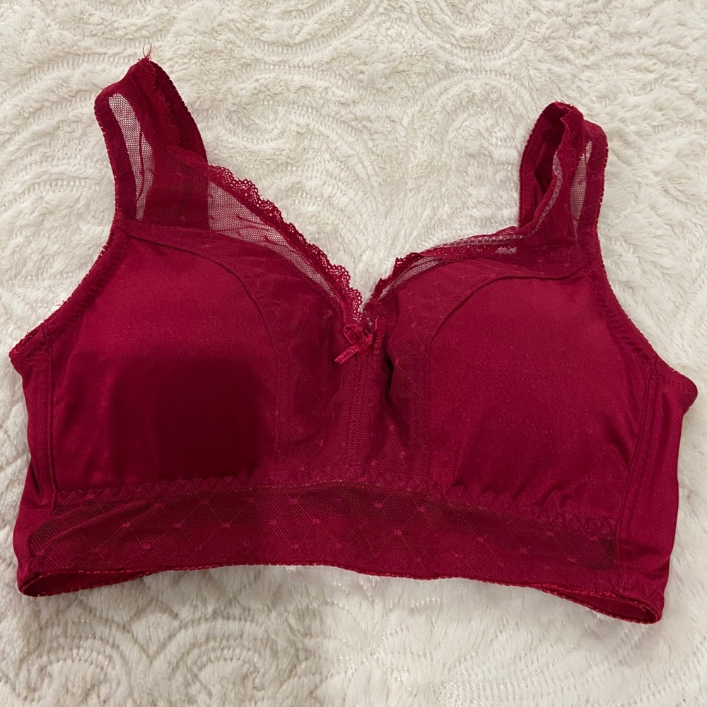 Rhonda Shear pinup bra.